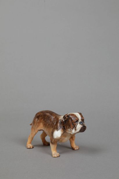 Royal DOULTON
Bouledogue en céramique polychrome.
H.:...