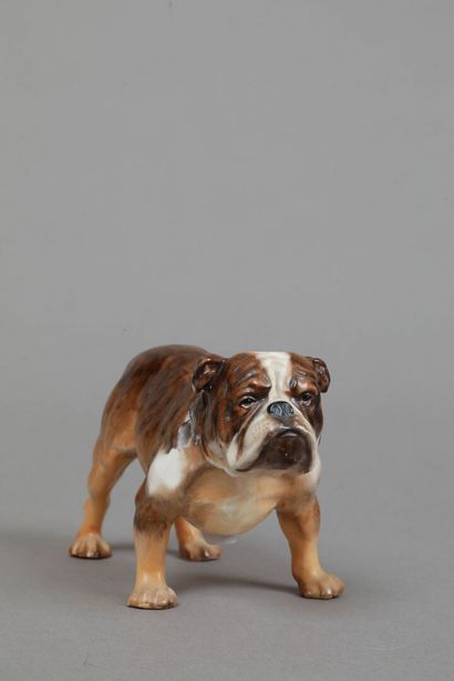 Royal DOULTON
Bouledogue en céramique polychrome.
H.:...