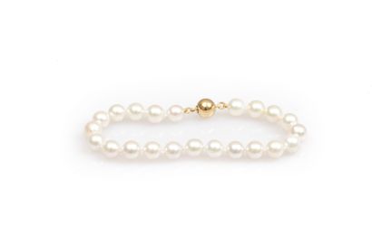 Bracelet of 22 Japanese cultured pearls 7/7-5...