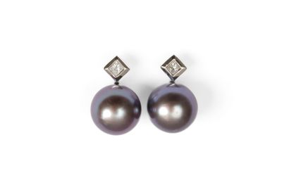 Paire de boutons d'oreilles en or blanc 750...