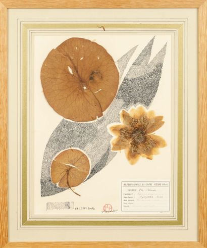 Jean-Luc PARANT (1944-2022)
Herbarium, 1955
India...