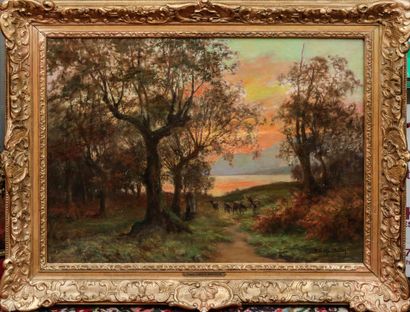 François Richard DE MONTHOLON (1856-1940)
Hinds...