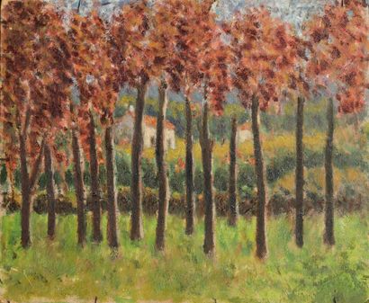 MODERN SCHOOL
Village in the countryside
Oil...