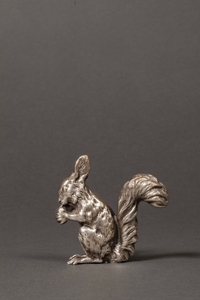Silver squirrel holding a hazelnut.
Weight:...