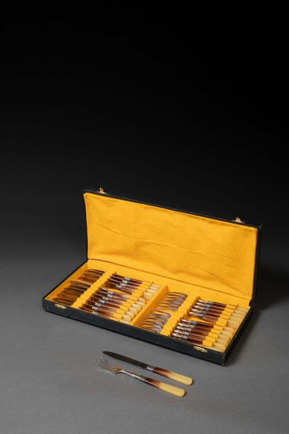 Set of 12 fruit cutlery sets (stainless steel...