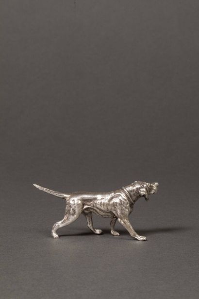 Small silver braque hunting dog 1st title.
Weight:...