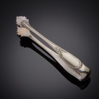Metal sugar tongs, spare cartridge.
