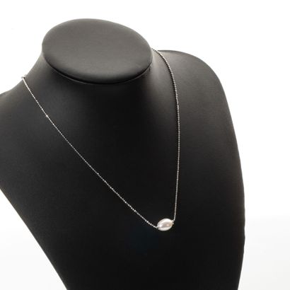 Set consisting of a silver necklace and bracelet...