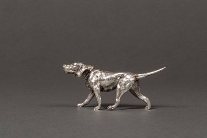 Small silver braque hunting dog 1st title.
Weight:...
