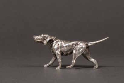 Small silver braque hunting dog 1st title.
Weight:...