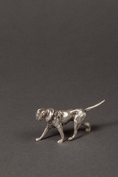 Small silver braque hunting dog 1st title.
Weight:...