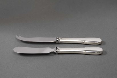 Butter knife and cheese knife, handles in...