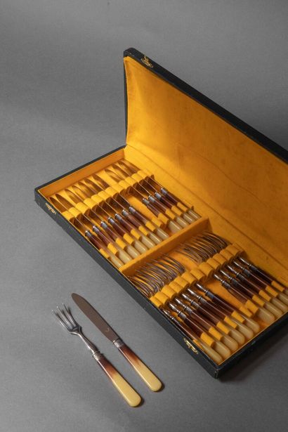 Set of 12 fruit cutlery sets (stainless steel...