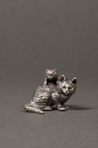 Small cat and kitten on the back in silver...