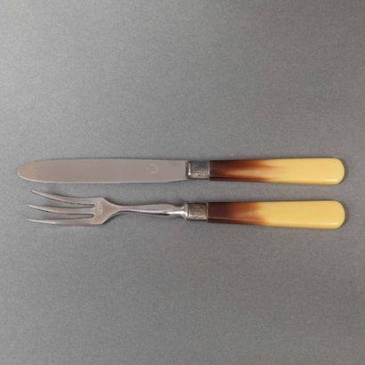 Set of 12 fruit cutlery sets (stainless steel...