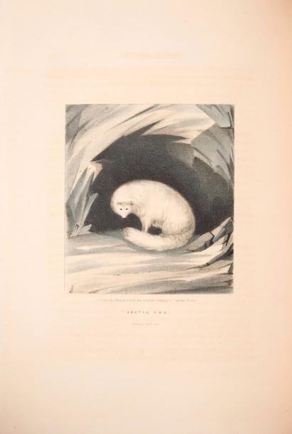 319	[VOYAGES]. ROSS (John). Appendix to the...