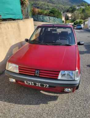 PEUGEOT 205 GTI Année : 1989, I18/08/1989,...