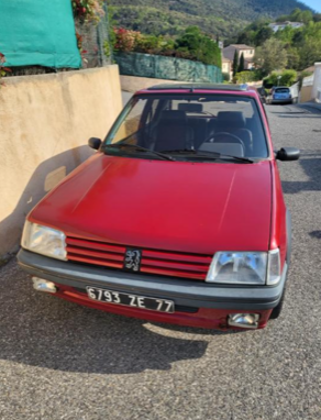 PEUGEOT 205 GTI Année : 1989, I18/08/1989,...