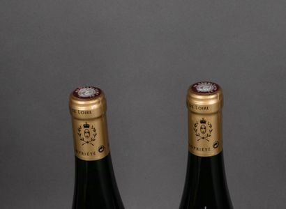 2 Bottles Domaine des Petits Quarts 