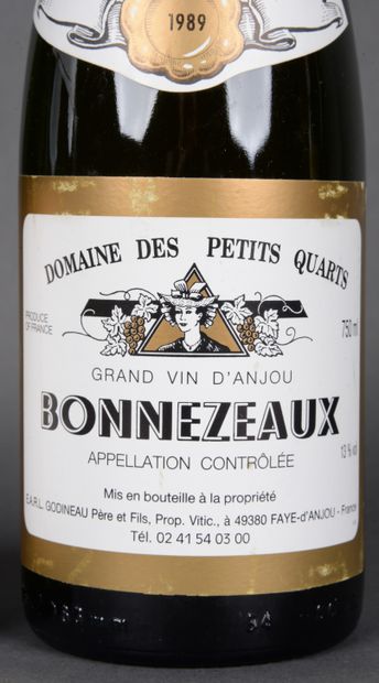 2 Bottles Domaine des Petits Quarts 