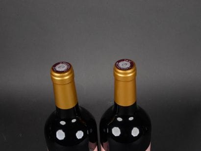 2 Bottles PEYRE ROSE 