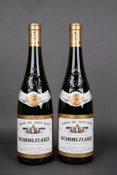 2 Bottles Domaine des Petits Quarts 