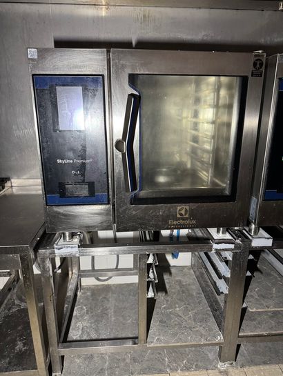 Four de marque ELECTROLUX ref : SKYLINE PREMIUM...