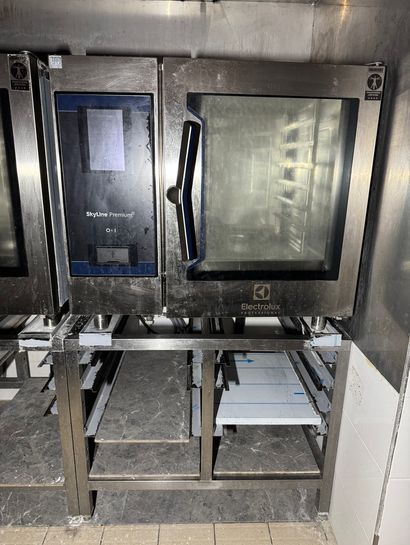Four de marque ELECTROLUX ref : SKYLINE PREMIUM...
