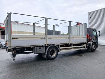CAMION PLATEAU GRUE CAGE DAF 4X2 LF260FA...