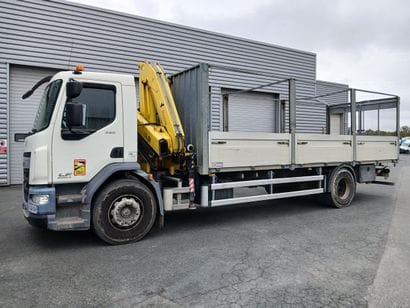 CAMION PLATEAU GRUE CAGE DAF 4X2 LF250FA...