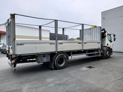 CAMION PLATEAU GRUE CAGE DAF 4X2 LF250FA...