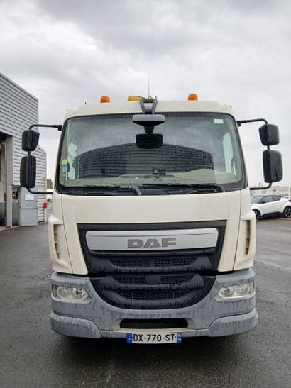 CAMION PLATEAU GRUE CAGE DAF 4X2 LF250FA...