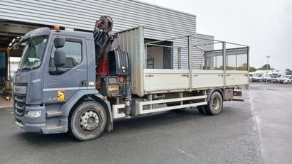 CAMION PLATEAU GRUE CAGE DAF 4X2 LF260FA...