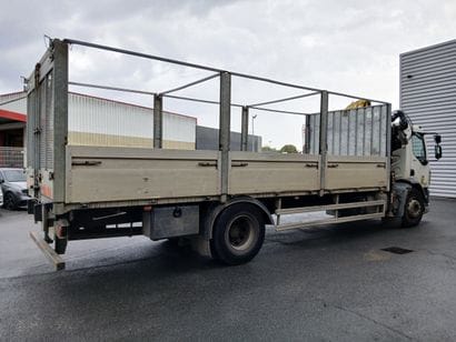 CAMION PLATEAU GRUE CAGE DAF 4X2 LF250FA...