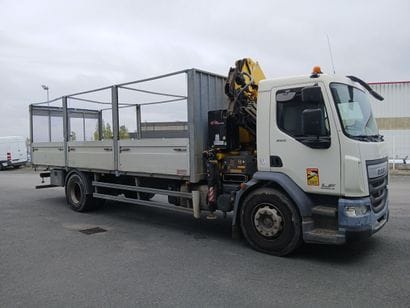 CAMION PLATEAU GRUE CAGE DAF 4X2 LF250FA...