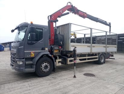 CAMION PLATEAU GRUE CAGE DAF 4X2 LF260FA...