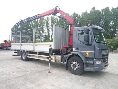 CAMION PLATEAU GRUE CAGE DAF 4X2 LF260FA...