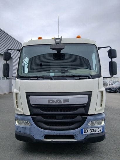CAMION PLATEAU GRUE CAGE DAF 4X2 LF250FA...