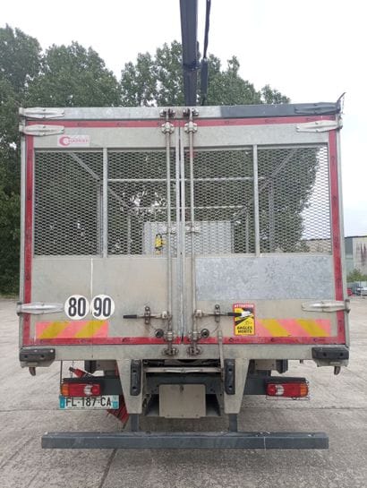 CAMION PLATEAU GRUE CAGE DAF 4X2 LF260FA...