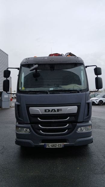 CAMION PLATEAU GRUE CAGE DAF 4X2 LF260FA...
