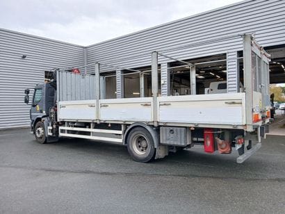 CAMION PLATEAU GRUE CAGE DAF 4X2 LF260FA...