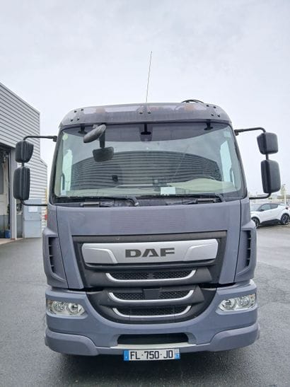 CAMION PLATEAU GRUE CAGE DAF 4X2 LF260FA...