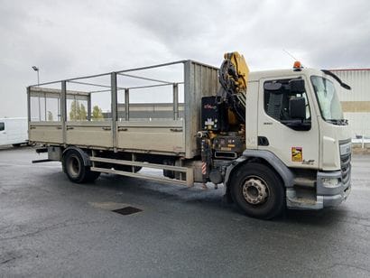 CAMION PLATEAU GRUE CAGE DAF 4X2 LF250FA...