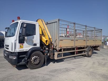 CAMION PLATEAU GRUE CAGE IVECO 4x2 ML 180E25...