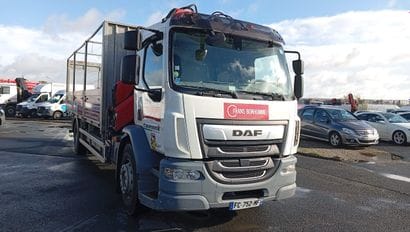 CAMION PLATEAU GRUE CAGE DAF 4X2 LF 260 FA...