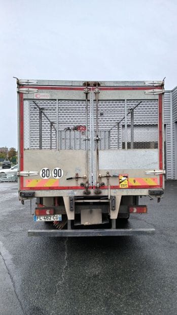 CAMION PLATEAU GRUE CAGE DAF 4X2 LF260FA...