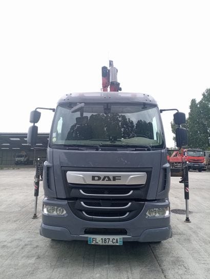 CAMION PLATEAU GRUE CAGE DAF 4X2 LF260FA...
