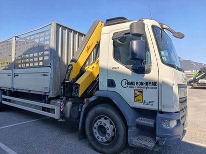 CAMION PLATEAU GRUE CAGE DAF 4X2 LF 290 FA...