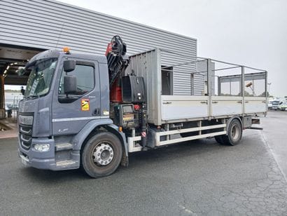 CAMION PLATEAU GRUE CAGE DAF 4X2 LF260FA...