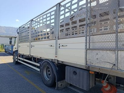 CAMION PLATEAU GRUE CAGE DAF 4X2 LF 290 FA...